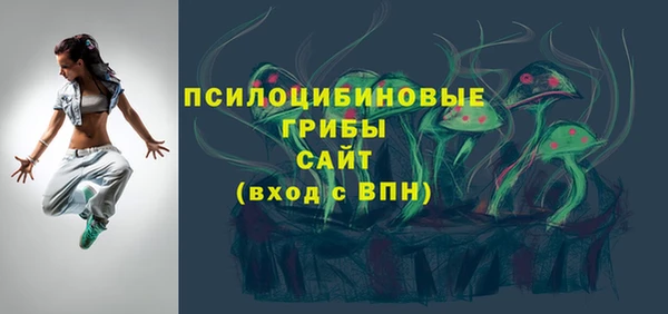 ГАЛЛЮЦИНОГЕННЫЕ ГРИБЫ Алексеевка