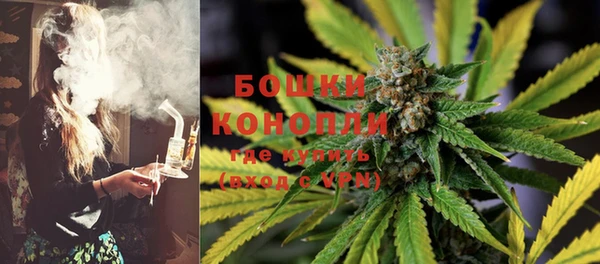 марки lsd Пересвет