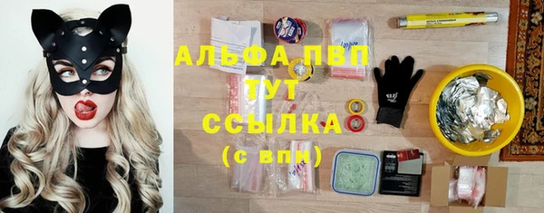 спайс Аркадак