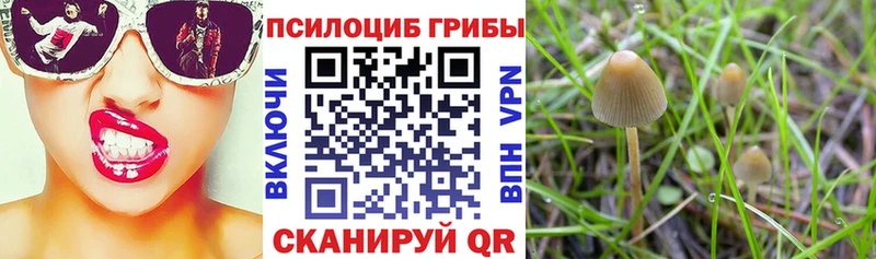 Галлюциногенные грибы Cubensis darknet клад Нея