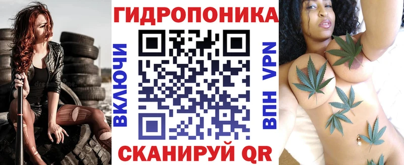 Шишки марихуана марихуана это формула Нея
